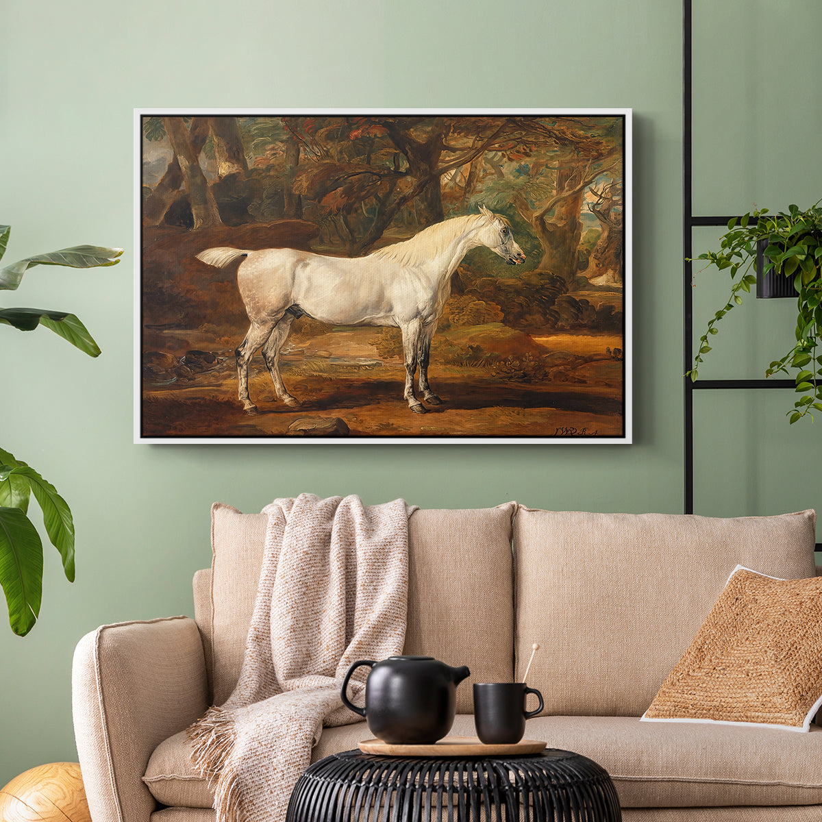 Grey Arabian Stallion, Property of Sir Watkin Williams-Wynn, c. 1817 - Floater Framed Canvas Print