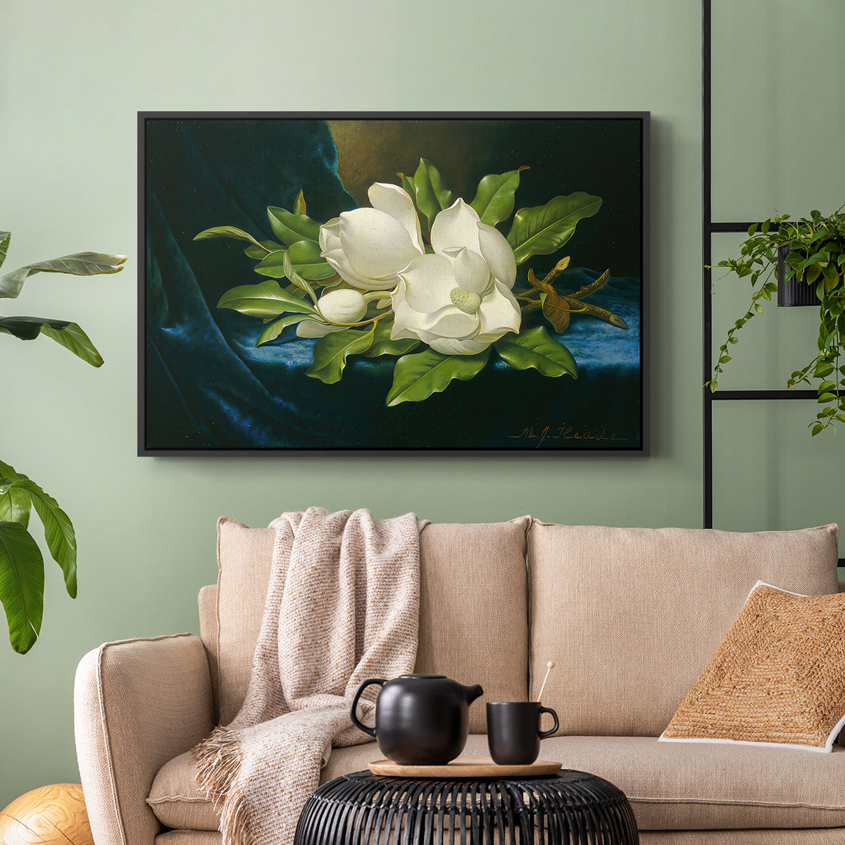 Giant Magnolias on a Blue Velvet Cloth, c. 1890 - Floater Framed Canvas Print