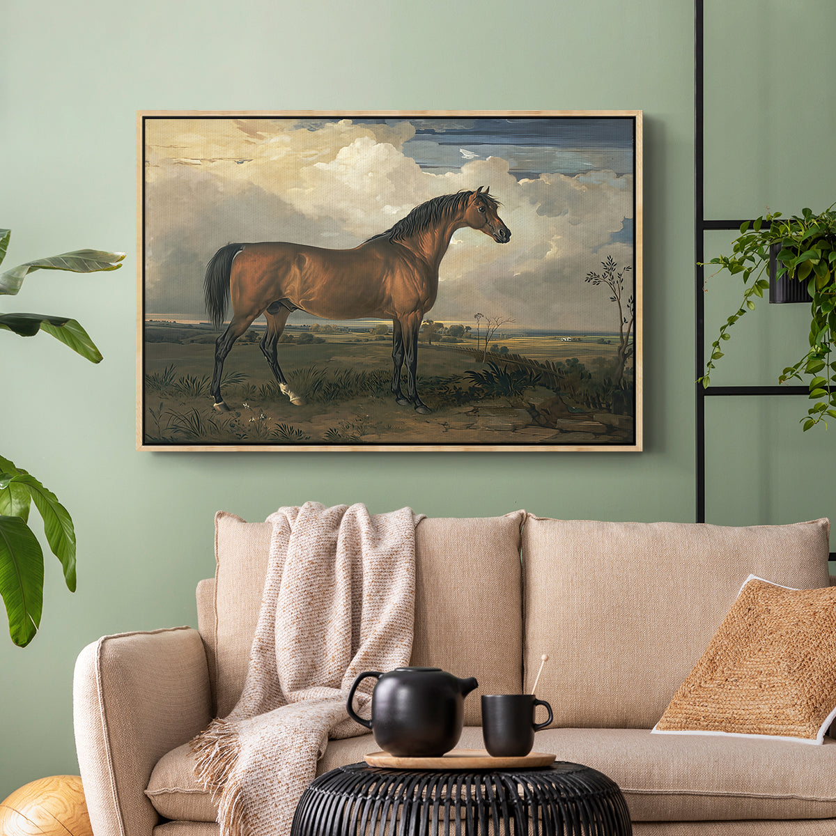 Eagle, A Celebrated Stallion, 1809 - Floater Framed Canvas Print