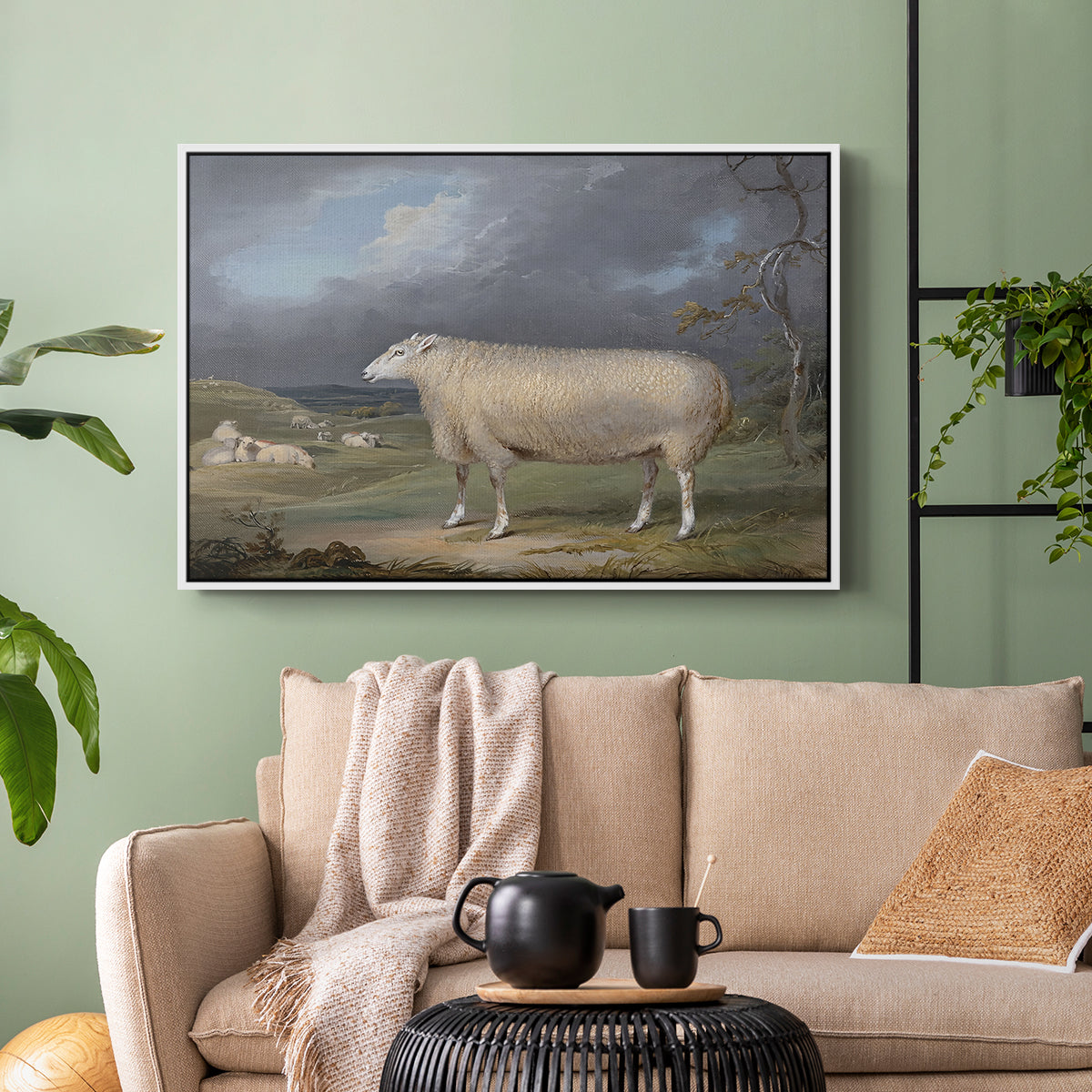 A Border Leicester Ewe, c. 1795-1800 - Floater Framed Canvas Print