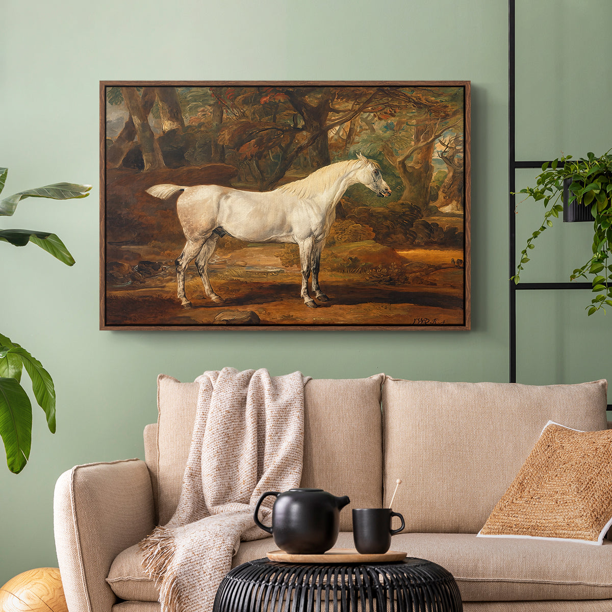 Grey Arabian Stallion, Property of Sir Watkin Williams-Wynn, c. 1817 - Floater Framed Canvas Print