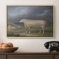A Border Leicester Ewe, c. 1795-1800 - Floater Framed Canvas Print