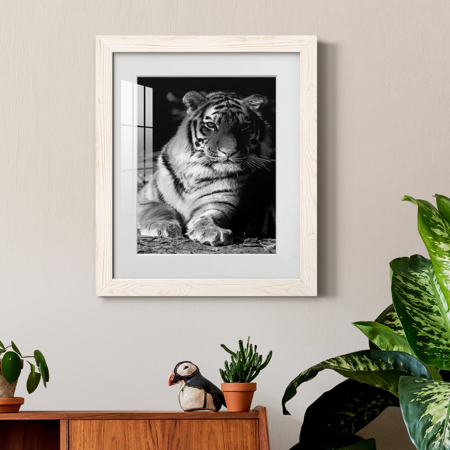 Tiger Repose - Premium Framed Print - Distressed Barnwood Frame - Ready to Hang