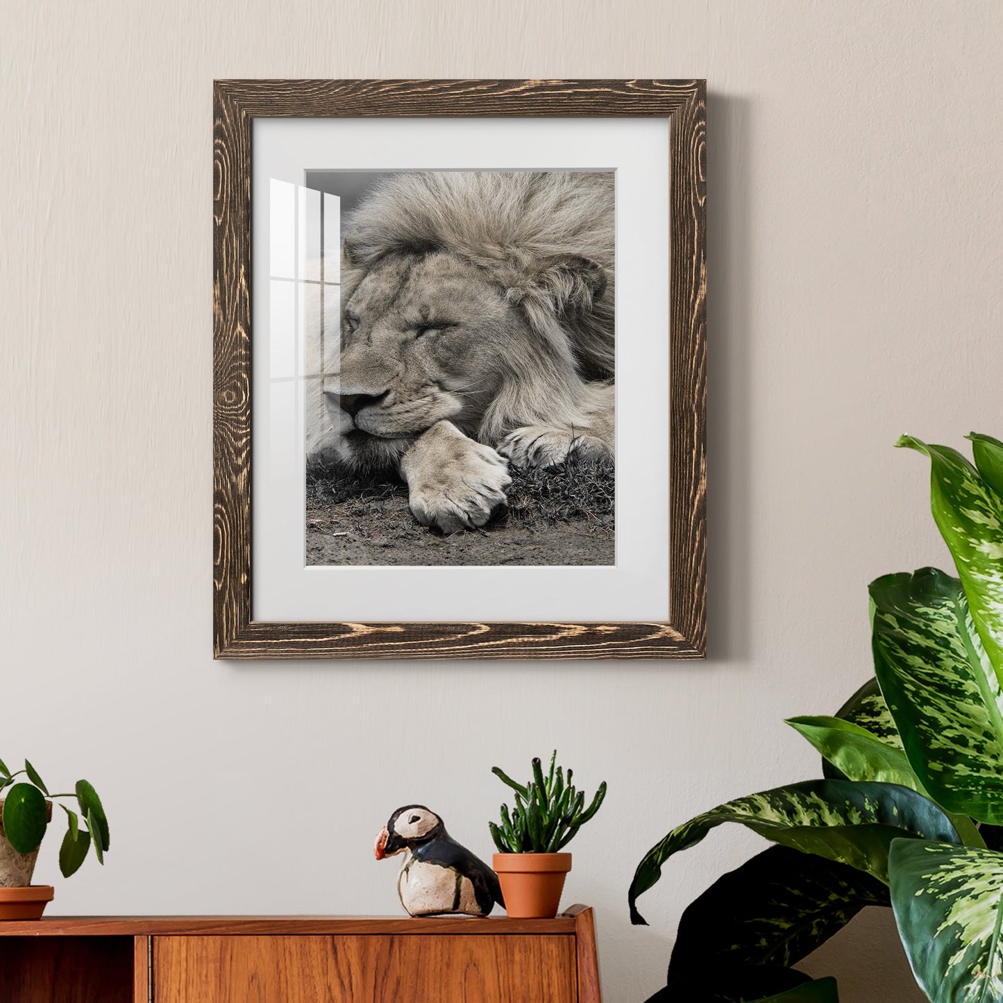 Sleepy Afternoon in Masai Mara - Premium Framed Print - Distressed Barnwood Frame - Ready to Hang