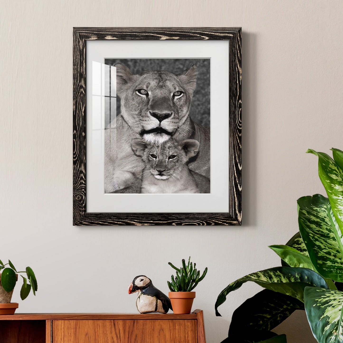 Lioness and Cub - Premium Framed Print - Distressed Barnwood Frame - Ready to Hang