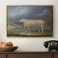 A Border Leicester Ewe, c. 1795-1800 - Floater Framed Canvas Print