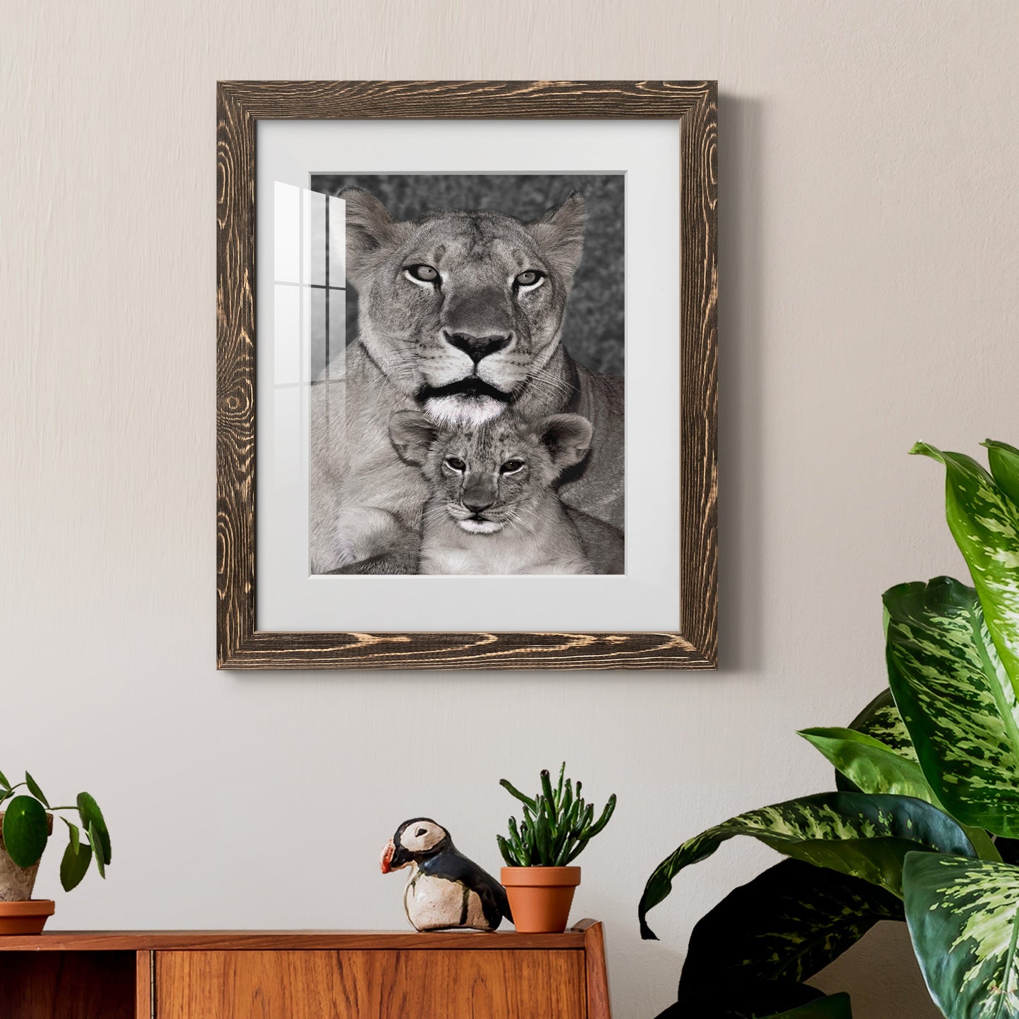 Lioness and Cub - Premium Framed Print - Distressed Barnwood Frame - Ready to Hang