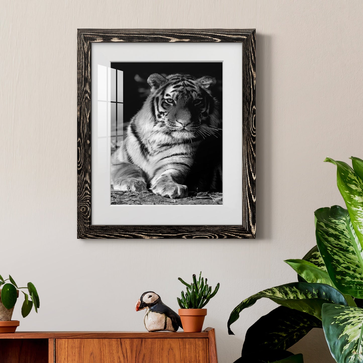 Tiger Repose - Premium Framed Print - Distressed Barnwood Frame - Ready to Hang