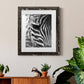 Zebra Colt - Premium Framed Print - Distressed Barnwood Frame - Ready to Hang