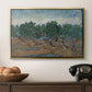Olive Trees, 1889 - Floater Framed Canvas Print