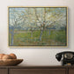 The Pink Orchard, 1888 - Floater Framed Canvas Print
