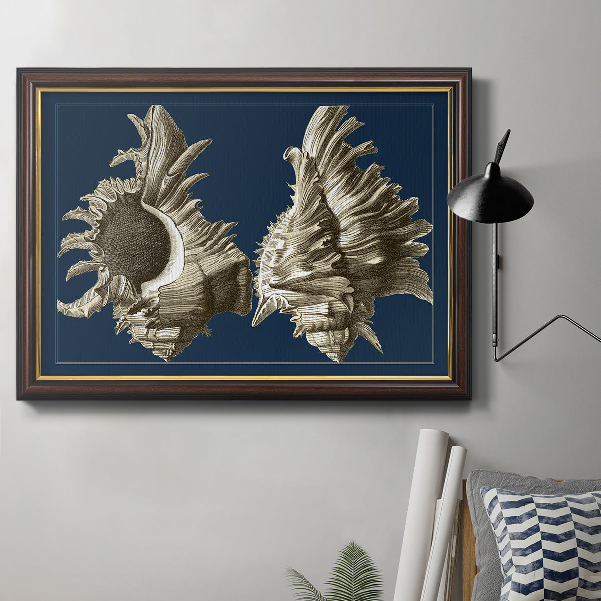 Conch Shells on Navy II Premium Framed Canvas- Ready to Hang