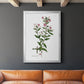 Rose Botanical III - Modern Framed Canvas Print