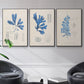 Blue Marine Algae VI - Framed Premium Gallery Wrapped Canvas L Frame 3 Piece Set - Ready to Hang