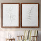 Botanical Gesture III - Premium Framed Canvas 2 Piece Set - Ready to Hang