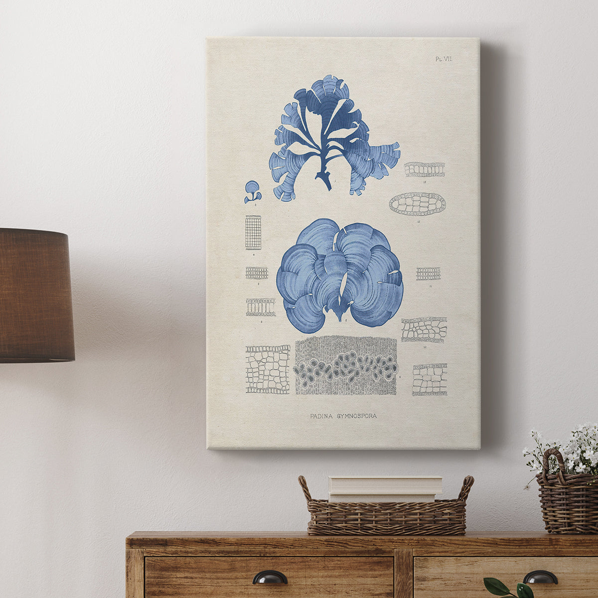 Blue Marine Algae IV - Canvas Art Print