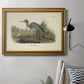 Audubons Blue Heron Premium Framed Canvas- Ready to Hang