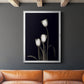 Tulip Pose III - Modern Framed Canvas Print