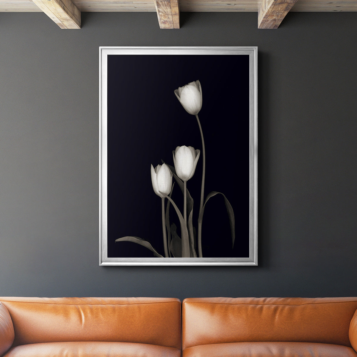 Tulip Pose III - Modern Framed Canvas Print