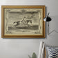 Distinguished Horses I Premium Framed Canvas- Ready to Hang