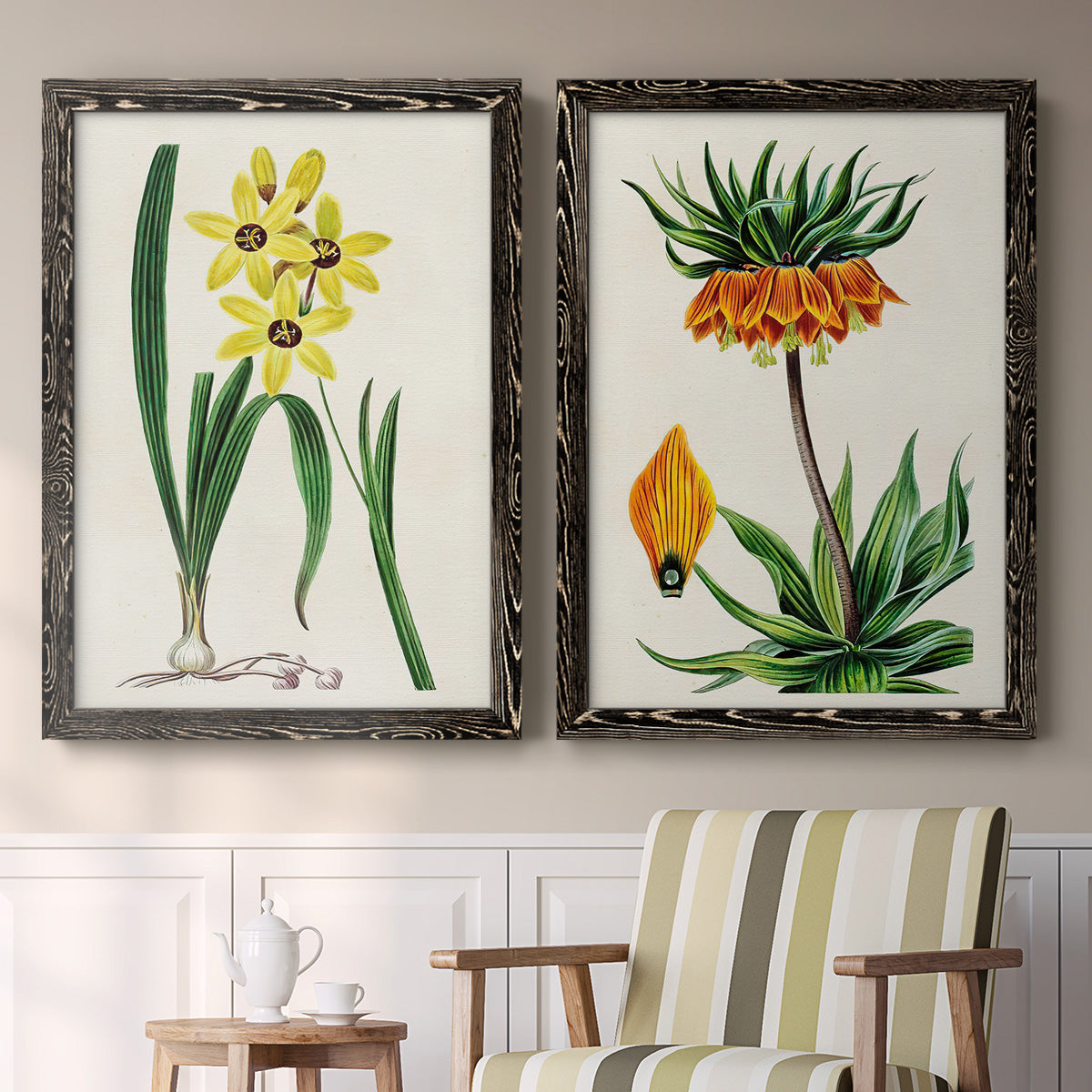 Set of two black barnwood framed canvas prints depicting two antique botanical plate illustrations featuring colorful flowering plant specimens above a sideboard in a cozy sitting room.