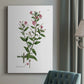 Rose Botanical III Premium Gallery Wrapped Canvas - Ready to Hang