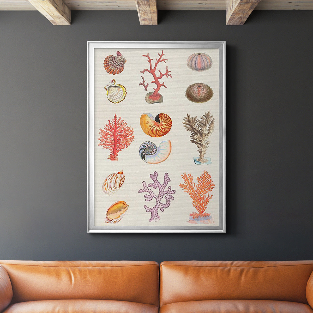 Coral & Shell Collage I -  Framed Canvas Print