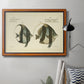 Bloch Antique Fish I Premium Framed Canvas- Ready to Hang