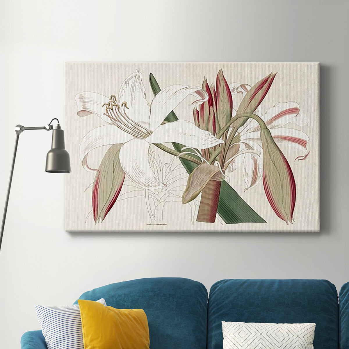 Amaryllis Varietals II Premium Gallery Wrapped Canvas - Ready to Hang