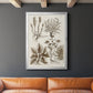 Sepia Botanical Journal VII - Modern Framed Canvas Print