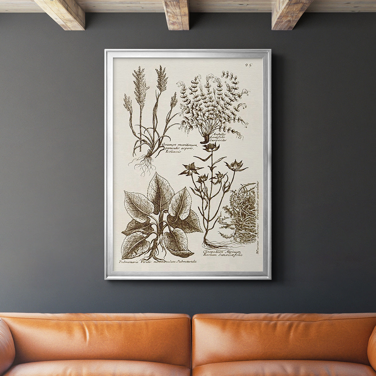 Sepia Botanical Journal VII - Modern Framed Canvas Print