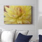 Blooms I - Canvas Art Print