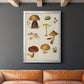 Mushroom Species II - Modern Framed Canvas Print