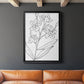 Botanical Sketch I - Modern Framed Canvas Print