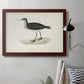 Morris Sandpipers VIII Premium Framed Canvas- Ready to Hang