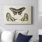 Crackled Butterflies I - Canvas Art Print