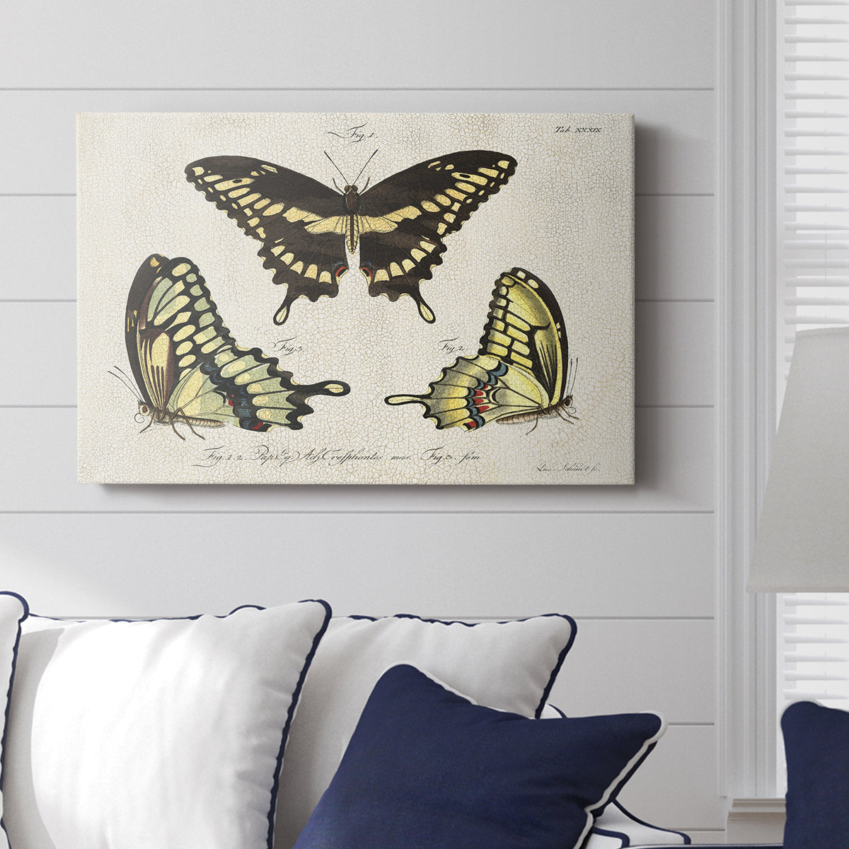 Crackled Butterflies I - Canvas Art Print