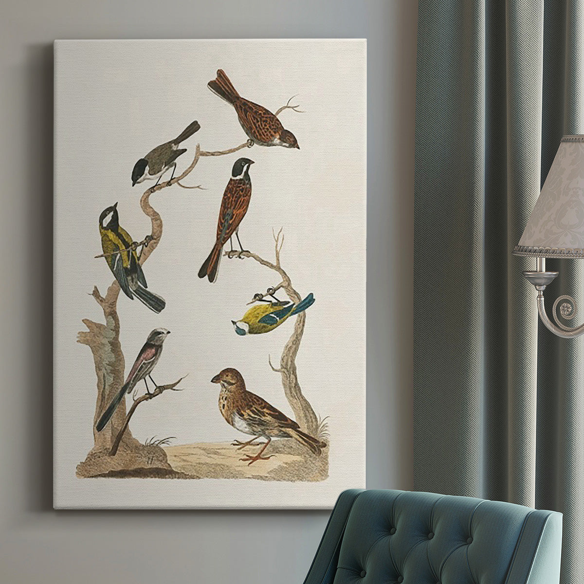 Antique Birds in Nature II Premium Gallery Wrapped Canvas - Ready to Hang