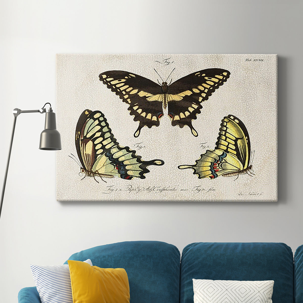 Crackled Butterflies I Premium Gallery Wrapped Canvas - Ready to Hang