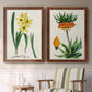 Set of two maple barnwood framed canvas prints depicting two antique botanical plate illustrations featuring colorful flowering plant specimens above a sideboard in a cozy sitting room.