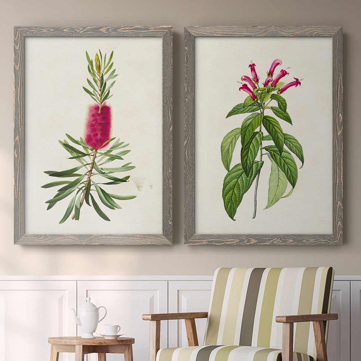 Set of two gray barnwood framed canvas prints depicting two vintage botanical plate illustrations featuring pink flowering plant specimens above a sideboard in a cozy sitting room.