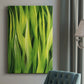 Blades of Grass I Premium Gallery Wrapped Canvas - Ready to Hang