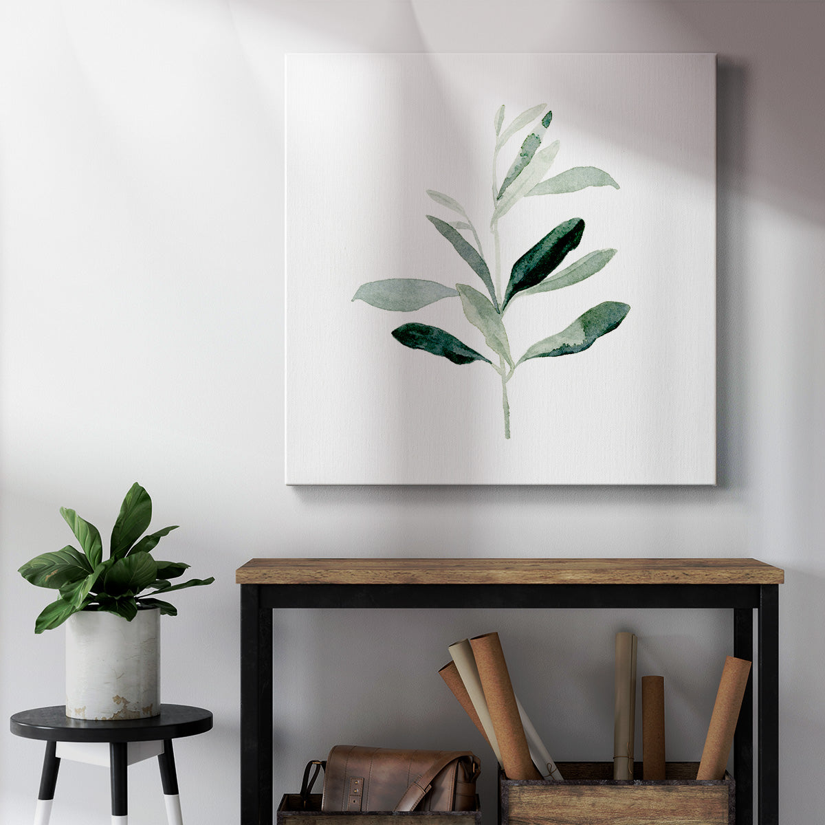 Summer Olive Branch II - Canvas Art Print