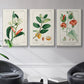 Turpin Tropical Botanicals IV - Framed Premium Gallery Wrapped Canvas L Frame 3 Piece Set - Ready to Hang