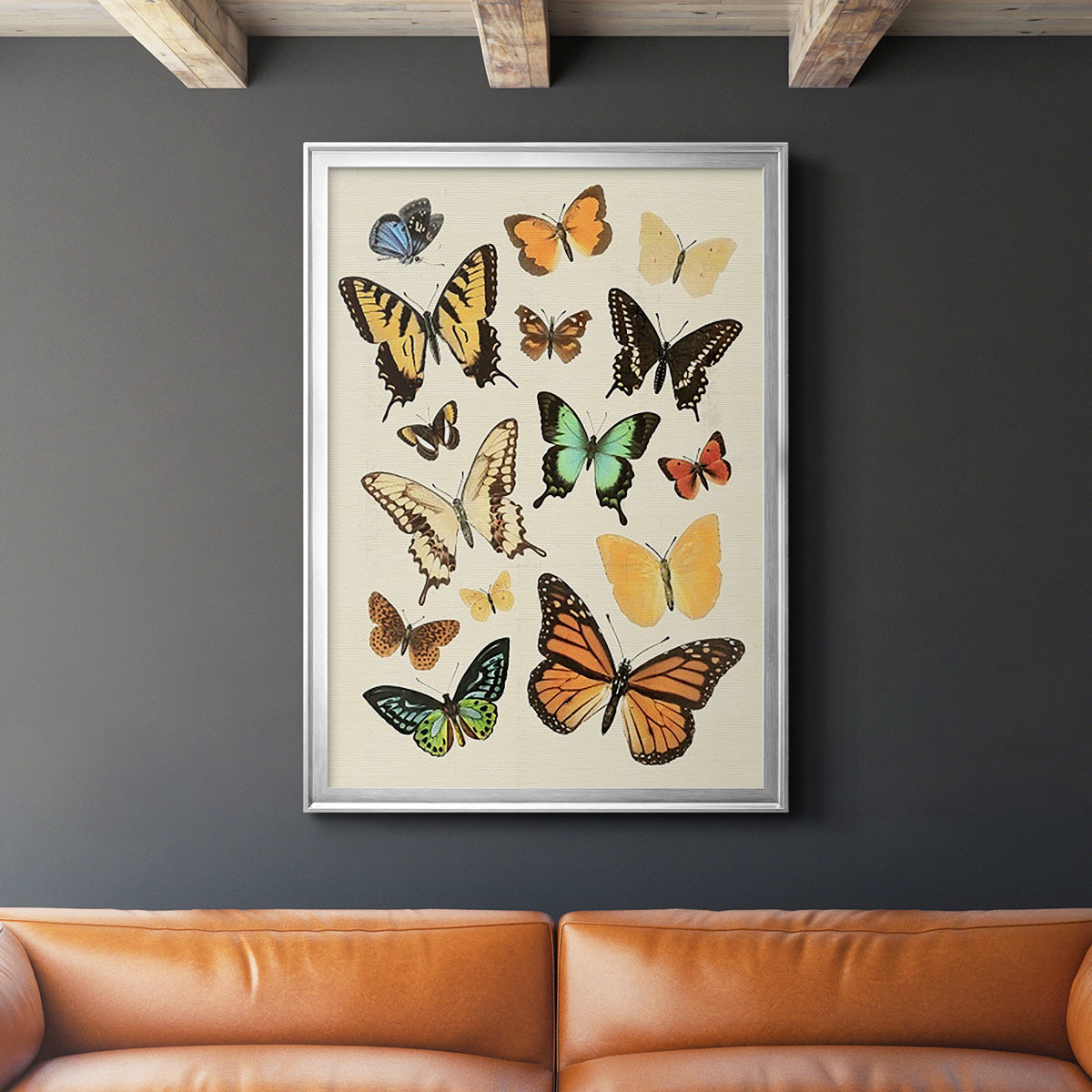 Collected Flutter I - Modern Framed Canvas Print