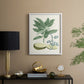 Buchoz Tropicals IV - Restickable Framed Art Print