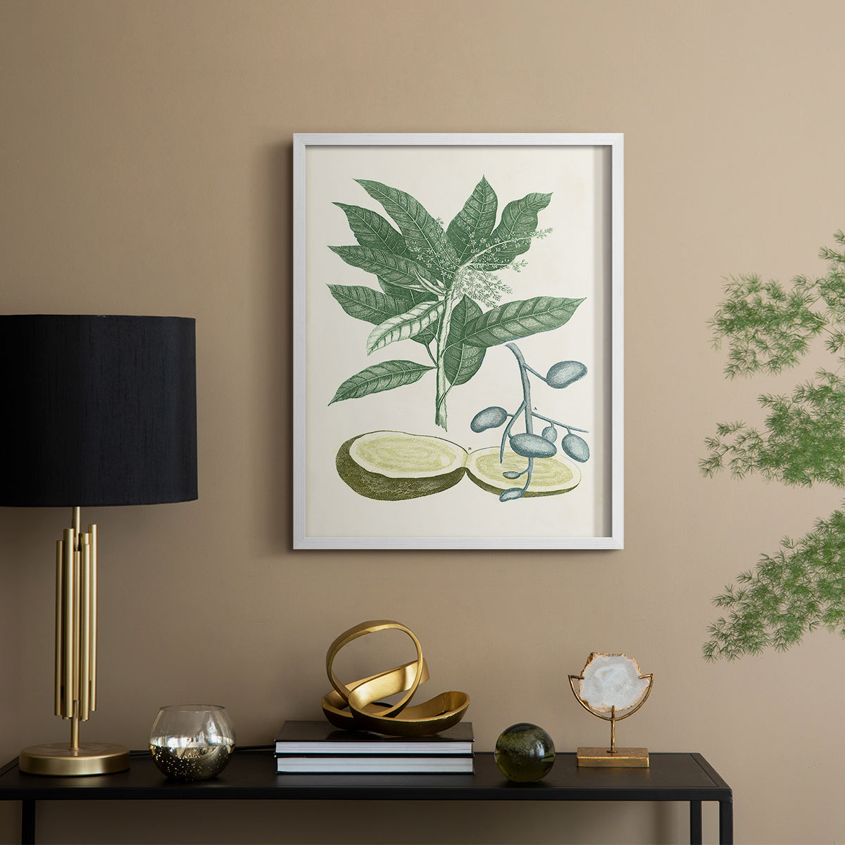 Buchoz Tropicals IV - Restickable Framed Art Print