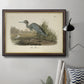 Audubons Blue Heron Premium Framed Canvas- Ready to Hang