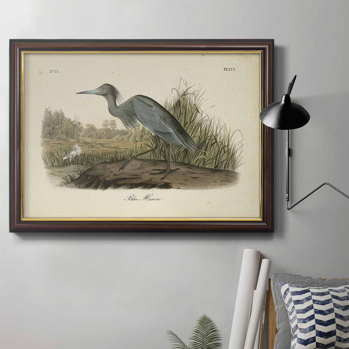 Audubons Blue Heron Premium Framed Canvas- Ready to Hang