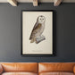 French Owls V - Modern Framed Canvas Print